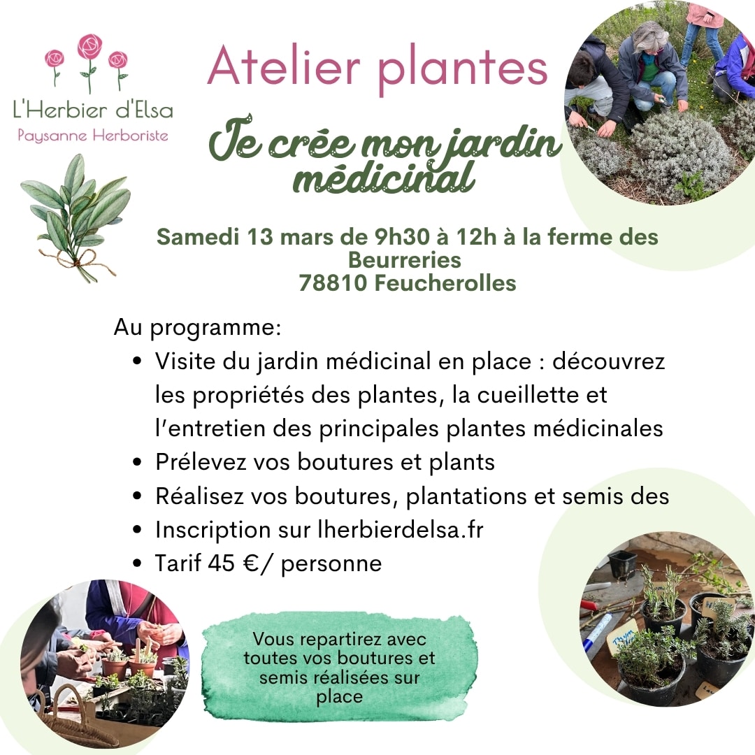 atelier jardin médicinal