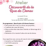 atelier rose de damas samedi 23 mai