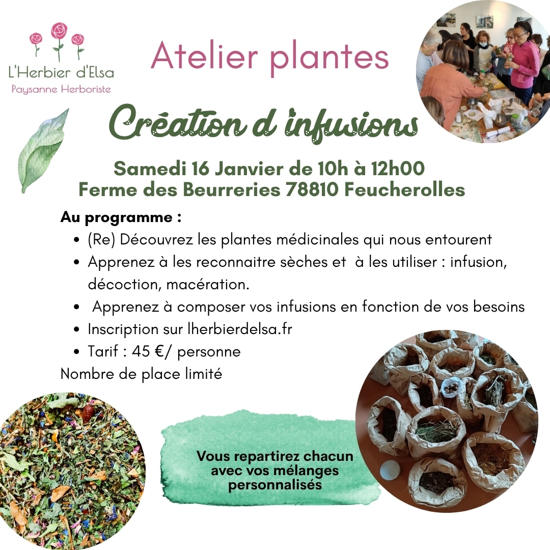 Atelier je crée mes infusions personnalisées