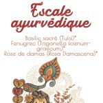 escale ayurvedique FENUGREC 25G